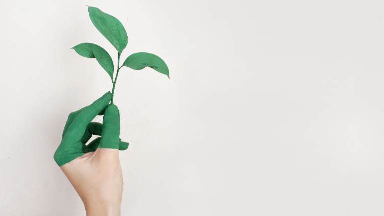 Hand holding a leafy green stem to represent a green restaurant with an ocean friendly culture.